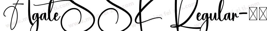AgateSSK Regular字体转换